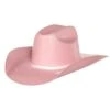 Youth M+F Twister Pink Cattlemans Crease Straw Hat -Western Cowboy Store 123268 default l