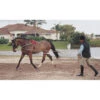 Pessoa Lunging System -Western Cowboy Store 129250 default l