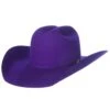 Rodeo King 7X Purple Self Band 4 1/4in. Brim Open Crown Felt Cowboy Hat -Western Cowboy Store 139736 default l