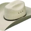 Atwood Hats Maverick Palm Leaf 5in. Brim Cowboy Hat -Western Cowboy Store 14065 default l
