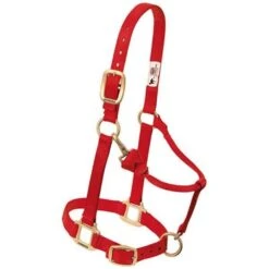 Weaver Leather Adjustable Nylon Weanling Halter