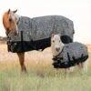 Professionals Choice Cheetah Pony Equisential 1200D Winter Blanket -Western Cowboy Store 159823 default l