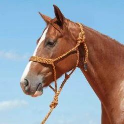 Cashel Company Flat Braid Halter W/9ft Lead 20 Cashel Company Flat Braid Halter W/9ft Lead -Western Cowboy Store 211122 649091
