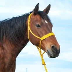 Cashel Company Flat Braid Halter W/9ft Lead 22 Cashel Company Flat Braid Halter W/9ft Lead -Western Cowboy Store 211122 649092