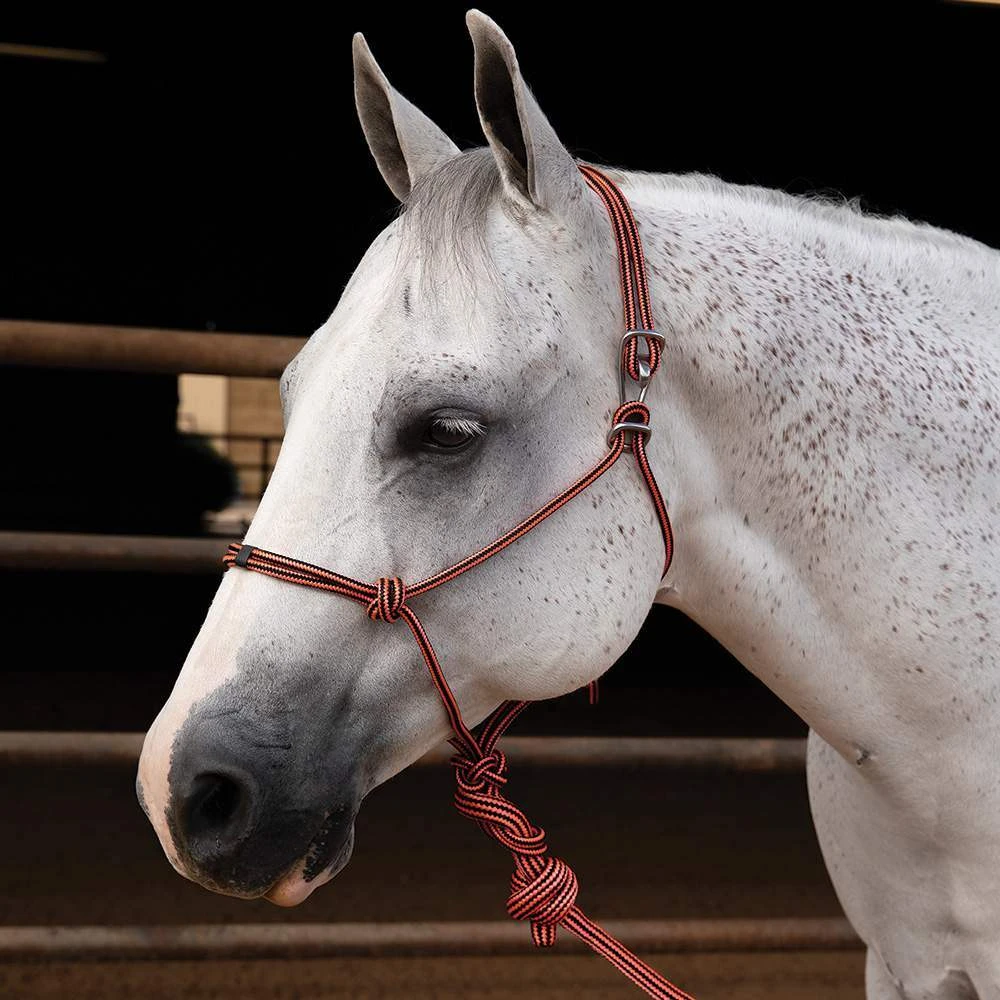 Professionals Choice Choice Easy On Rope Halter 7 Professionals Choice Choice Easy On Rope Halter - Image 5