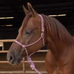 Professionals Choice Choice Easy On Rope Halter 19 Professionals Choice Choice Easy On Rope Halter -Western Cowboy Store 214143 662285
