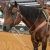 Nrs Tack Oiled Harness Leather Roping Rein German Martingale -Western Cowboy Store 38363 default l
