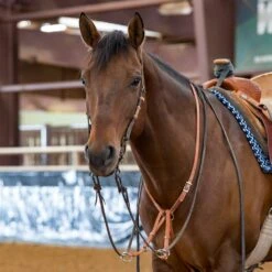 Professionals Choice Shutz Brothers Texas Training Fork -Western Cowboy Store 8054 OnDrifter