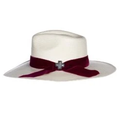 Charlie 1 Horse 10X Truth 3 1/2in. Brim Straw Fashion Hat -Western Cowboy Store CSTRTH 343481 2