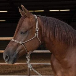 Professionals Choice Choice Easy On Rope Halter 12 Professionals Choice Choice Easy On Rope Halter -Western Cowboy Store HRE fromShopify 1