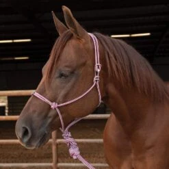 Professionals Choice Choice Easy On Rope Halter 14 Professionals Choice Choice Easy On Rope Halter -Western Cowboy Store HRE fromShopify 3