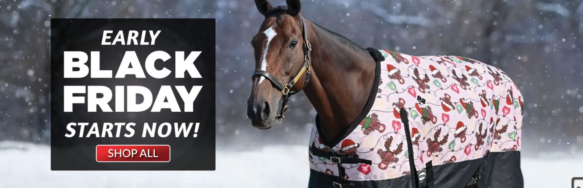 Western Cowboy Store -Western Cowboy Store ghj